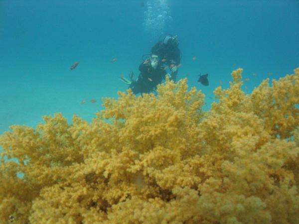 1800 секунд под водой в Эйлате
