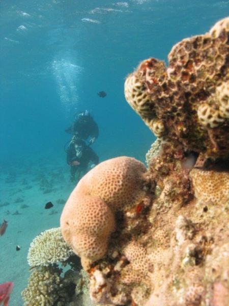 1800 секунд под водой в Эйлате